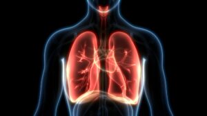 Lung-Health | StudioXPhys Physio Hope Island, Mudgeeraba