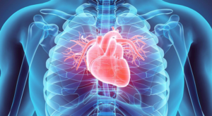 Exercise for Cardiovascular Conditions | StudioXPhys Physio Hope Island, Mudgeeraba
