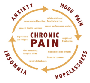 Update on Chronic Pain Management | StudioXPhys Physio Hope Island, Mudgeeraba