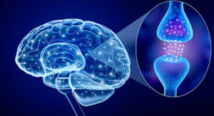 What is Parkinson’s Disease? | StudioXPhys Physio Hope Island, Mudgeeraba