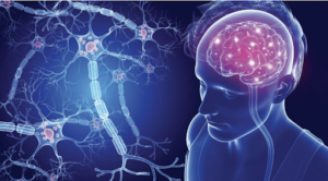 How does Exercise Help Multiple Sclerosis? | StudioXPhys Physio Hope Island, Mudgeeraba