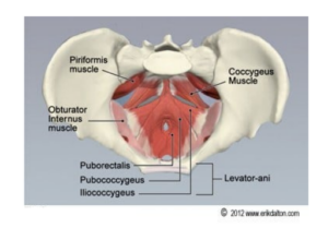 Working With a Sensitized Nervous System | StudioXPhys Physio Hope Island, Mudgeeraba